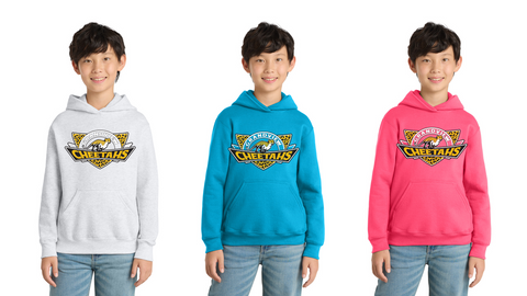 Grandview Elem Youth Hoodie